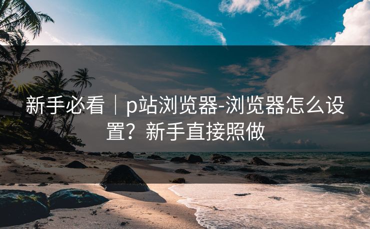 新手必看｜p站浏览器-浏览器怎么设置？新手直接照做