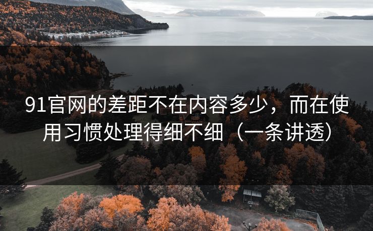 91官网的差距不在内容多少，而在使用习惯处理得细不细（一条讲透）