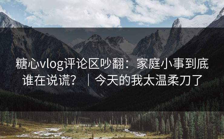 糖心vlog评论区吵翻：家庭小事到底谁在说谎？｜今天的我太温柔刀了