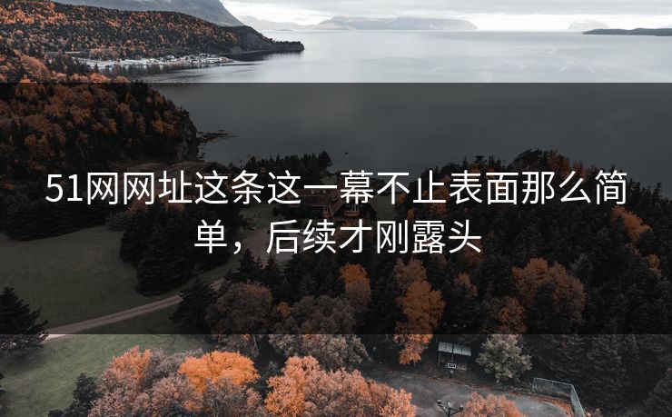 51网网址这条这一幕不止表面那么简单，后续才刚露头